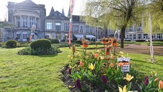 Le fournisseur de bulbes pour les collectivités Verver export a transformé ses événements de printemps, dont ici la Fête de printemps de Spa, en Belgique, en webinaires techniques, permettant à tous de découvrir nouveautés et associations végétales à distance. ©Verver 